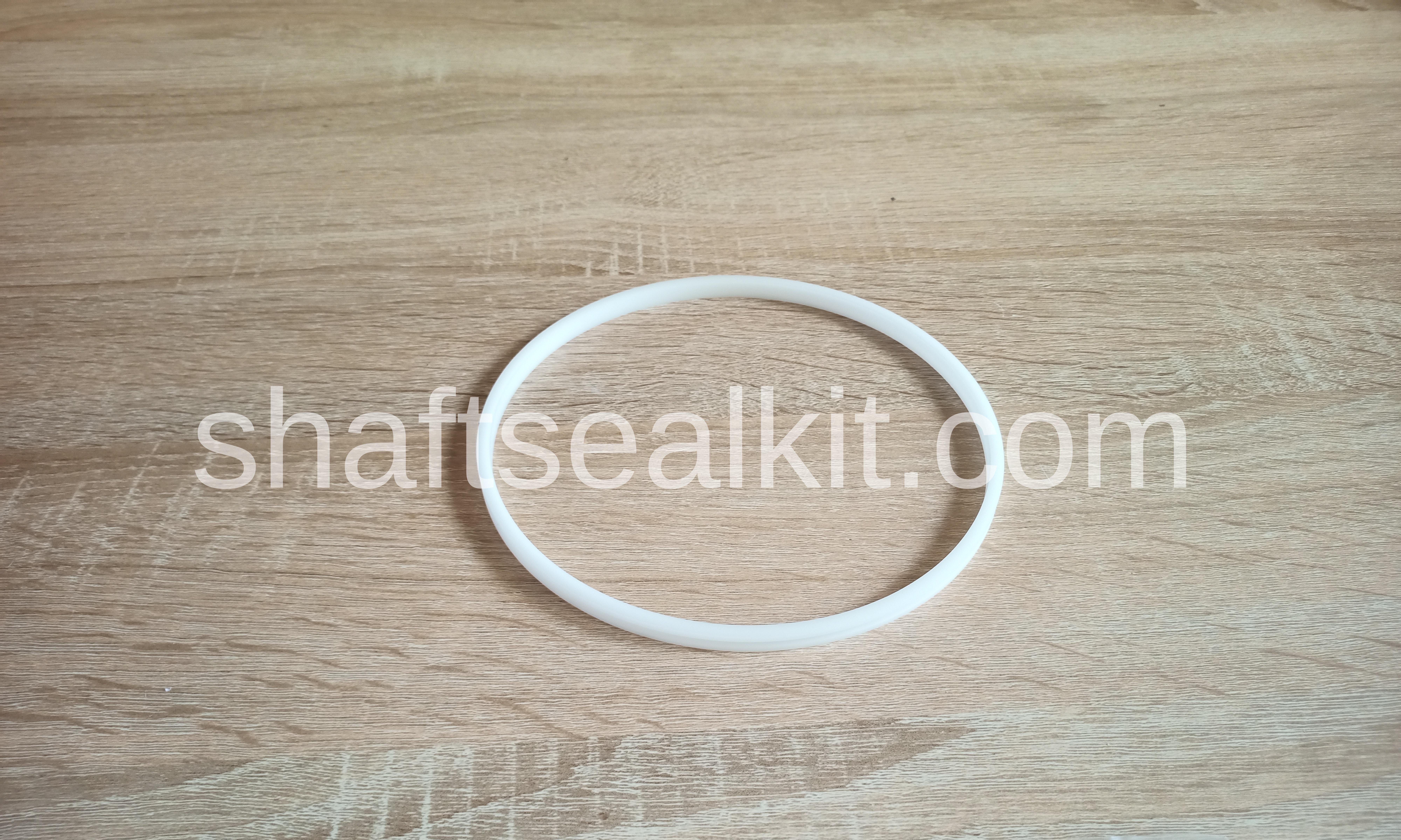 Piston seal 0589010