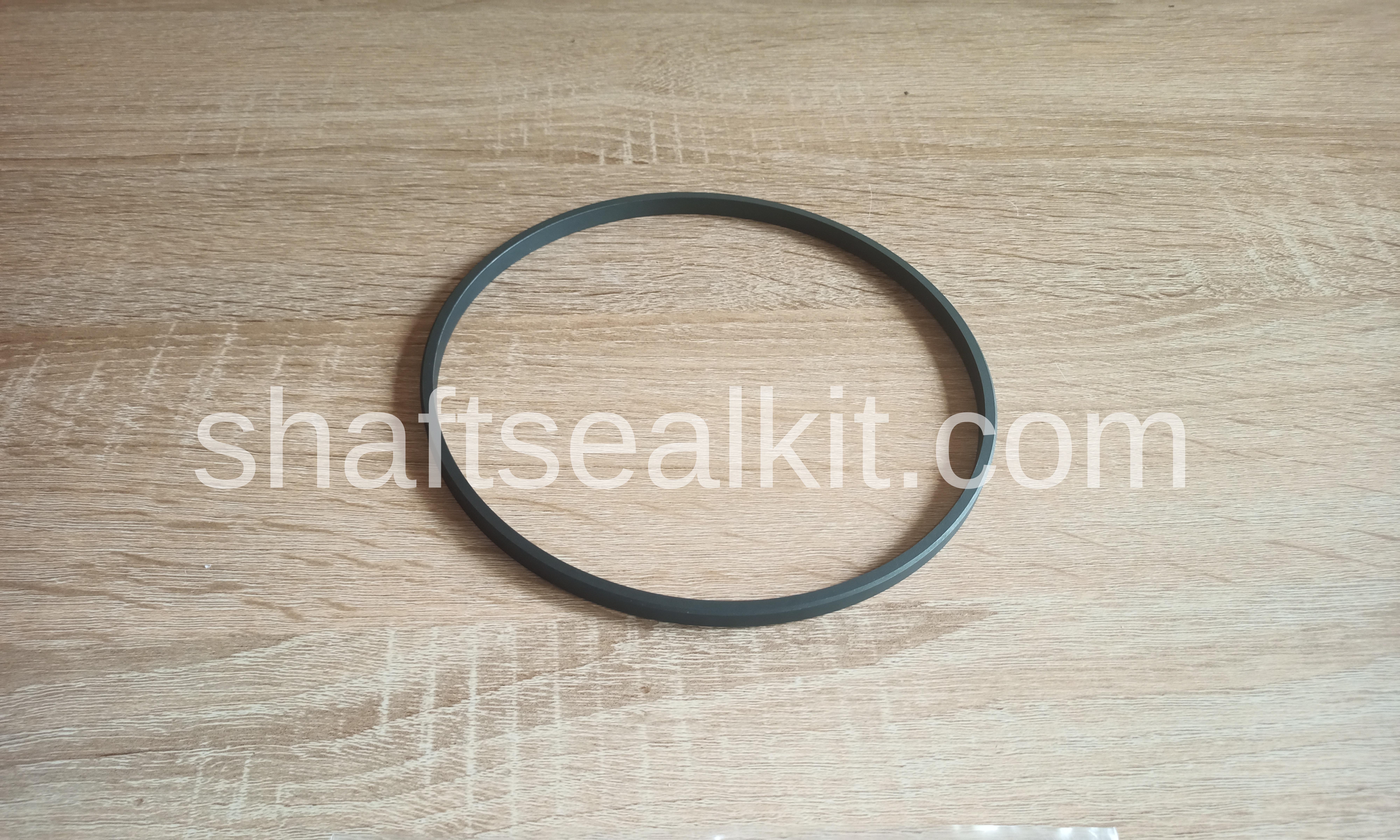 Piston seal  0589090